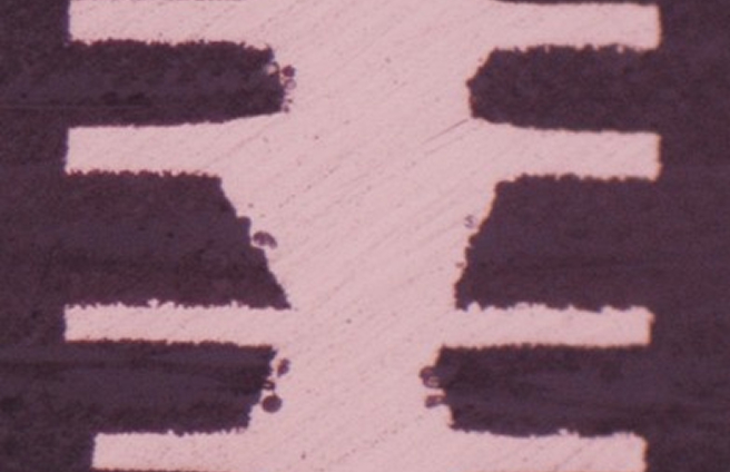 Module Board